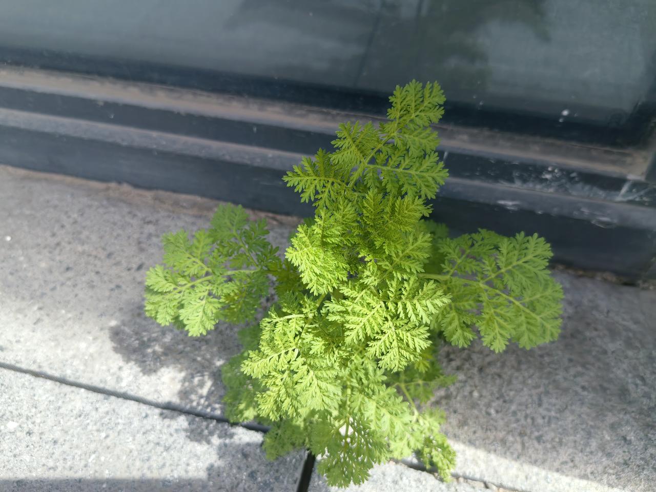 我有，我有，这是假期出去玩，儿子拿我的手机拍的。
这家伙，一路走一路拍。