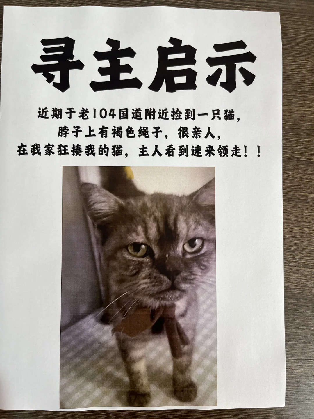 这只猫的主人你睡着了吗？？？