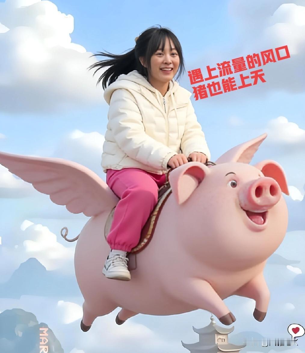 这两年的流量都是属于家禽类的🤣
      去年是景德的“鸡排哥”，再到深圳的