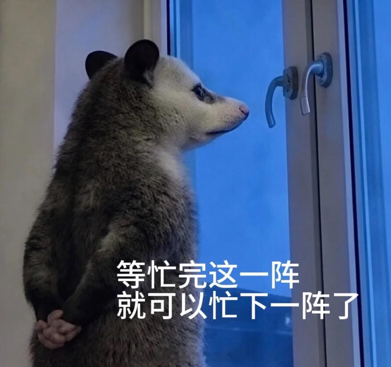实习工资居然能到一万实习工资1w，这待遇确实很多人都羡慕啊，我既没有一万多也没有