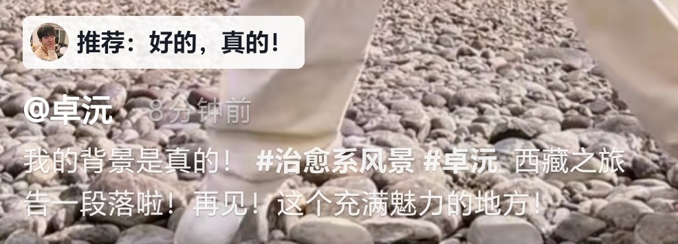 谁蛐蛐我仔！他都知道！ 