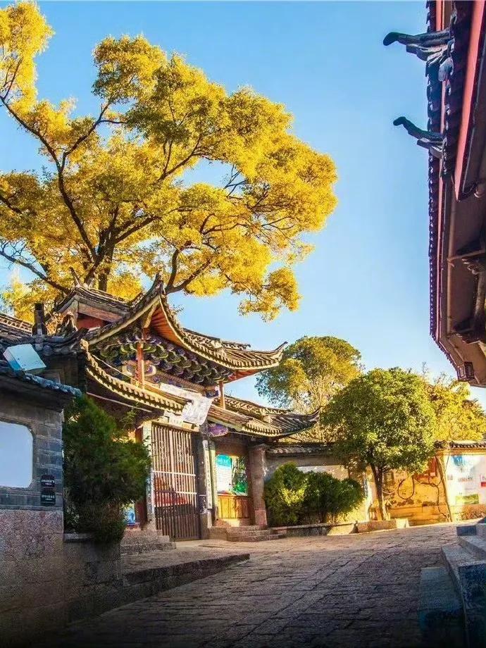 想和你去丽江古城转一转！