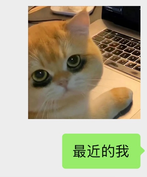 分享图片 ​​​
