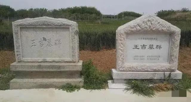 王吉墓群坐落于即墨区温泉街道西皋虞村北的庙崮山之阳，占地约700余亩，是西汉谏大