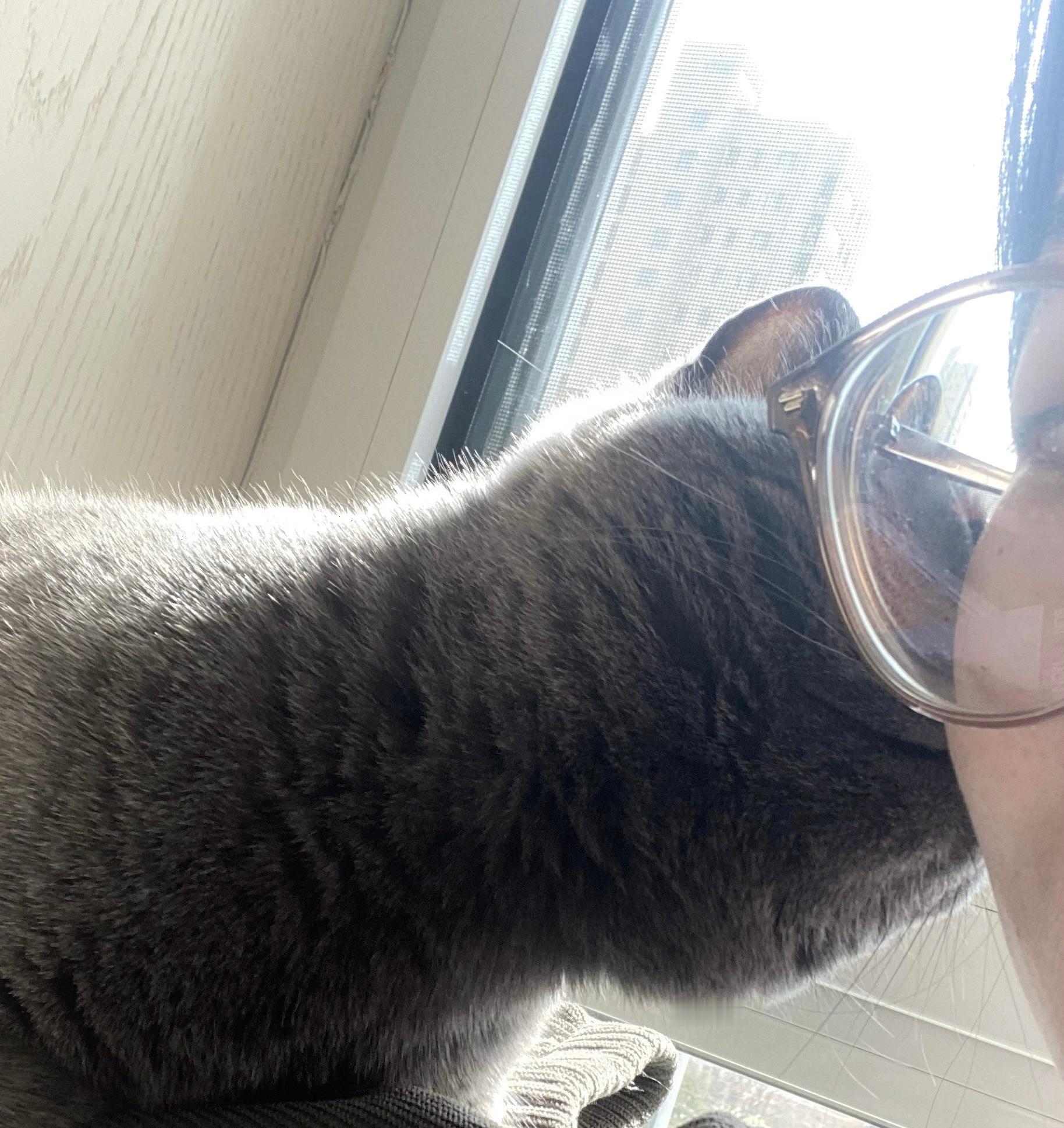 被小猫亲了⚈₃⚈ ​​​