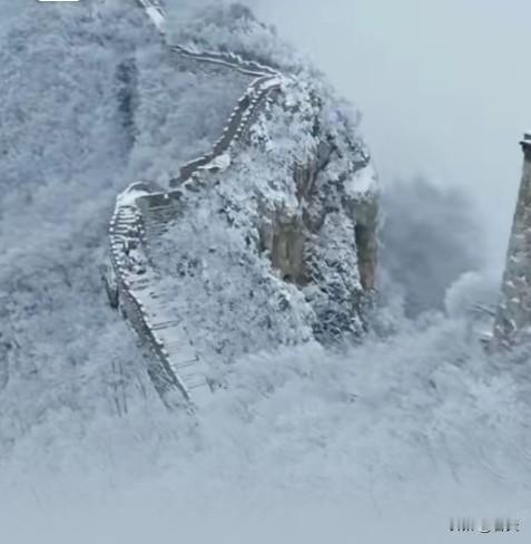与良者为伴，向光而行
 
和优秀的人同行，能借其智慧开阔眼界；与善良的人来往，可