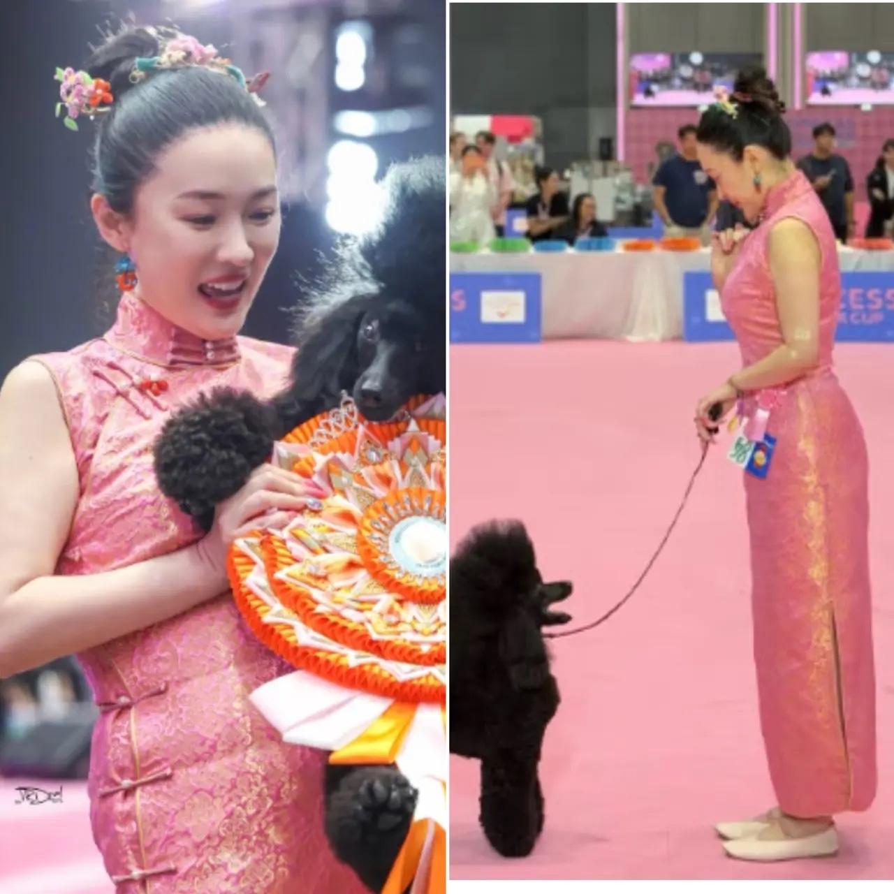 研究了大半天，
终于搞清楚霍思燕这次赢在哪了。
不是因为她养得起好犬，也不是因为