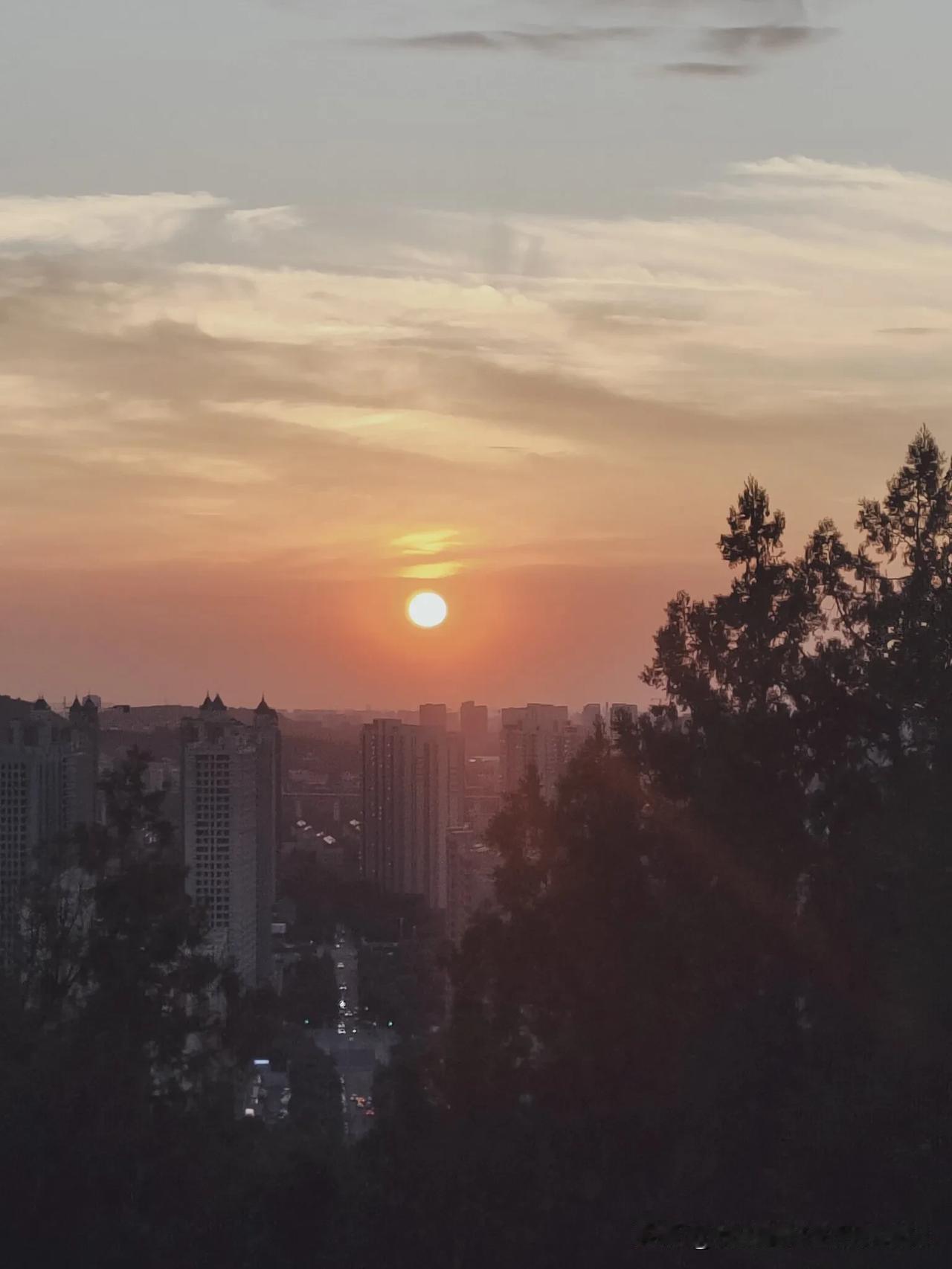 酸奶断舍离了。超市的酸奶越来越高端越来越贵。现在几乎不买了。感觉每个月可以省下不