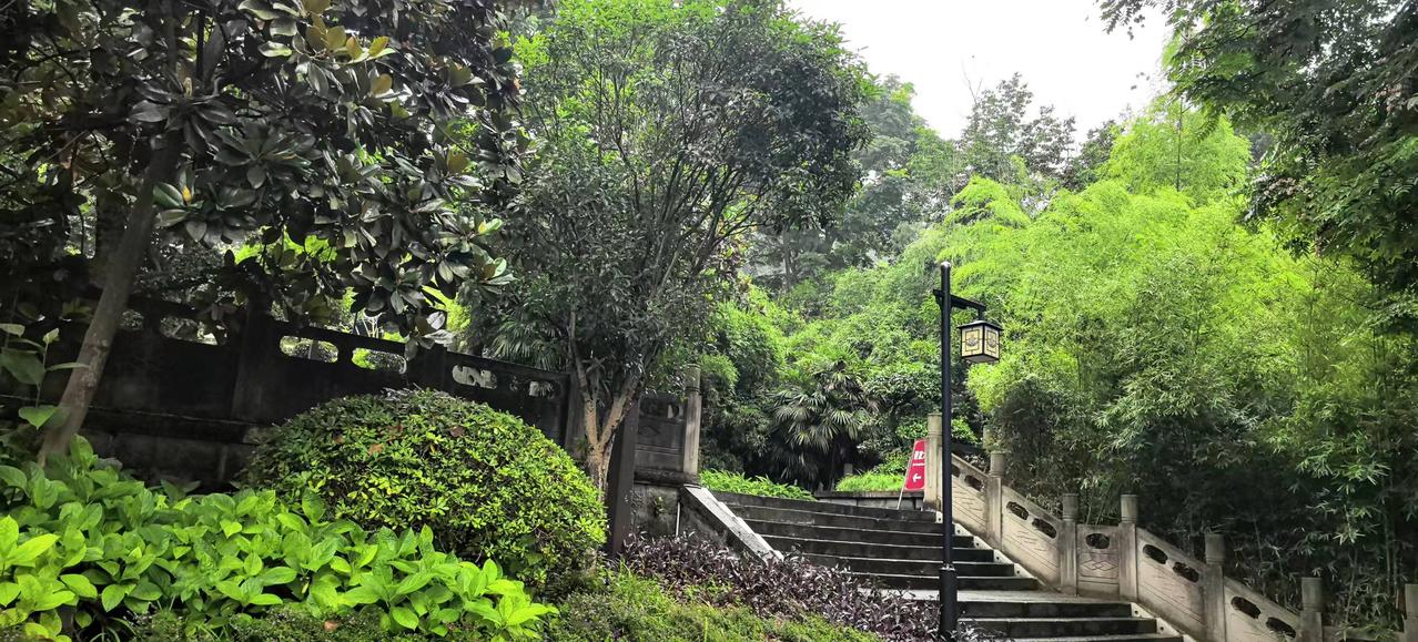 窗前青竹停新燕
下联：山外老树驻旧巢
