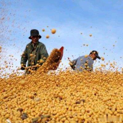 今年滴工业农业啊.又是一个双收年呐......视频丨再创历史新高！2025年粮食