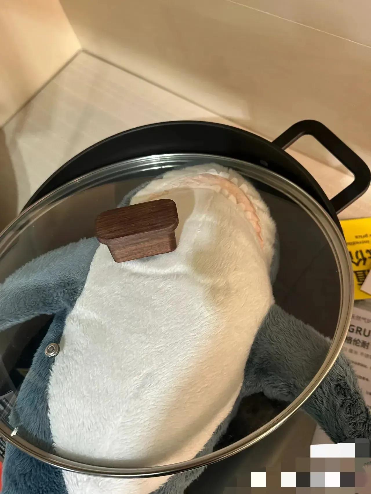 这是谁想吃鲨鱼了[大笑]