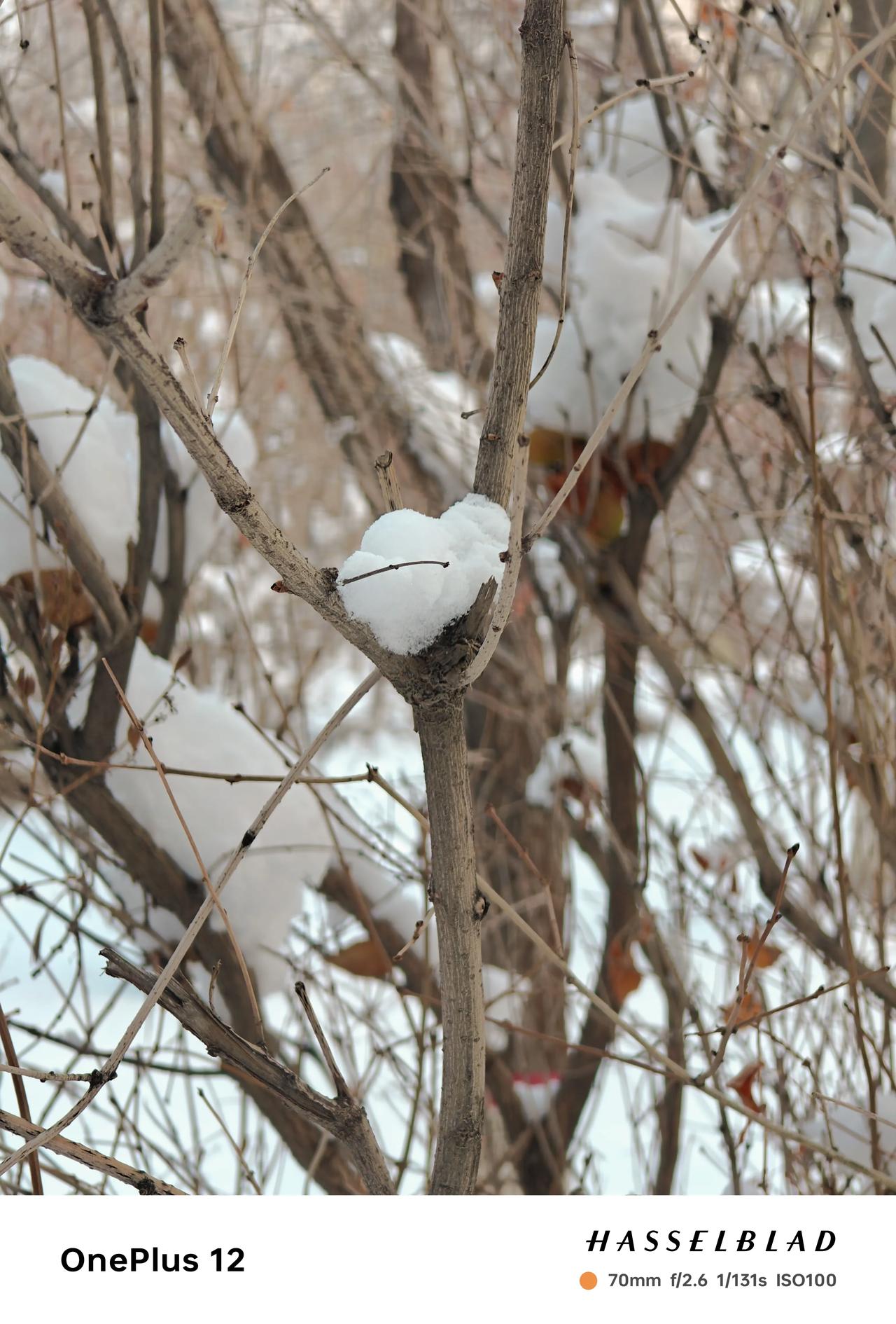 这几天可真冷，人都懒得动弹，出门手都不敢伸出来，还好有雪景和美食相伴。赶紧滚掏出