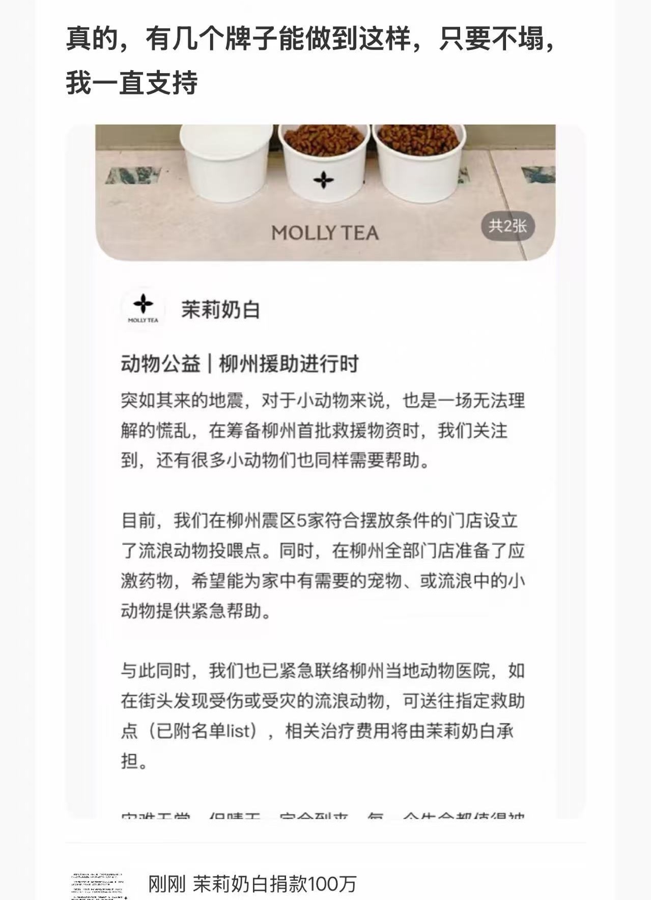 看到所有茶企捐款真的很感人茉莉奶白消息一出立刻落实捐款，是捐款最快的！蜜雪冰城也