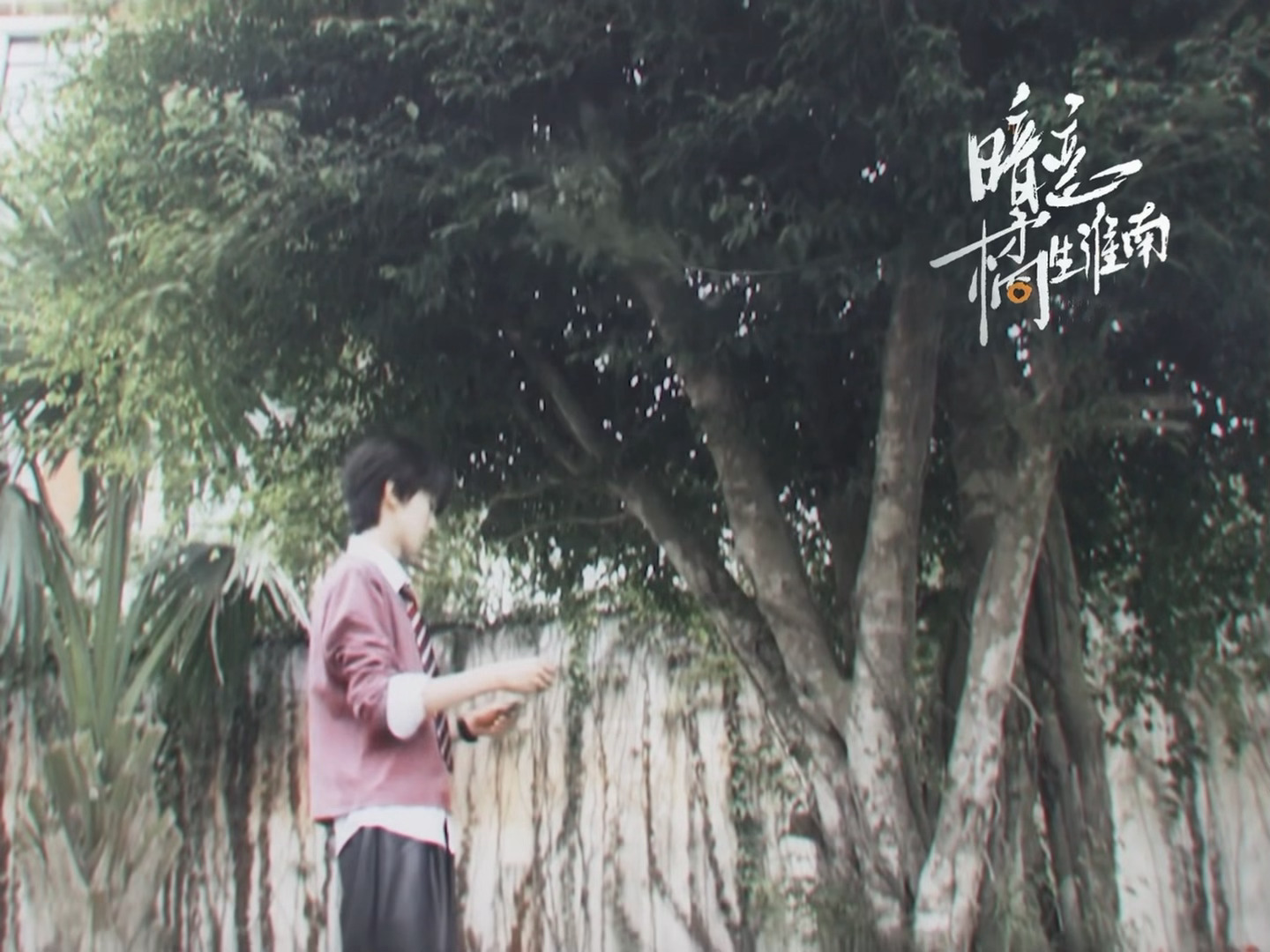 晴天 阴天 下雨天 你最喜欢哪一个 ​​​