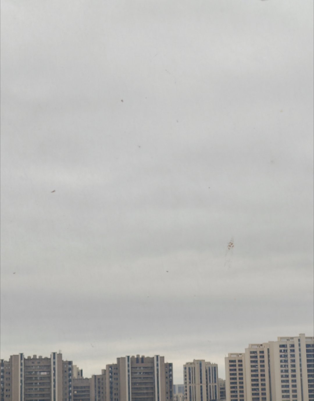 青岛旅游 最近的天气很宜人七月下旬还是二十几度晚上打开除湿机可以不用开窗开空调睡