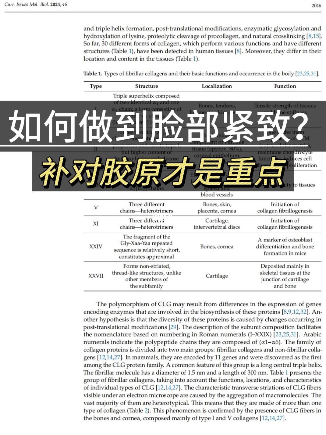护肤科普，补对胶原才是重点