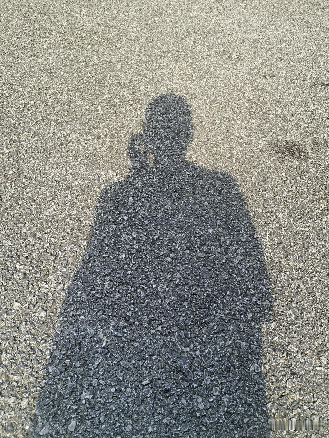 今日份快乐：
晒晒太阳，放空自己。
一个背影，一段慢时光，
不慌不忙，自在心安。