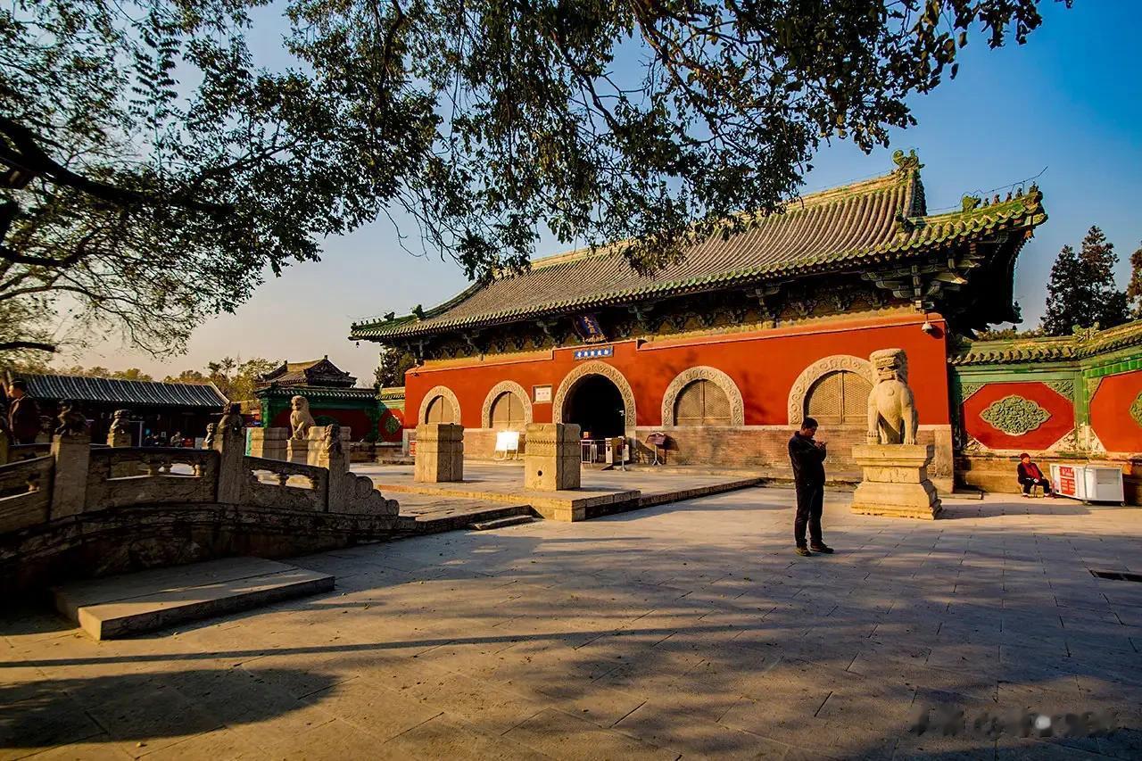 【每日一景20231201】拍于河北省石家庄正定县隆兴寺#原创摄影# #风光纪实