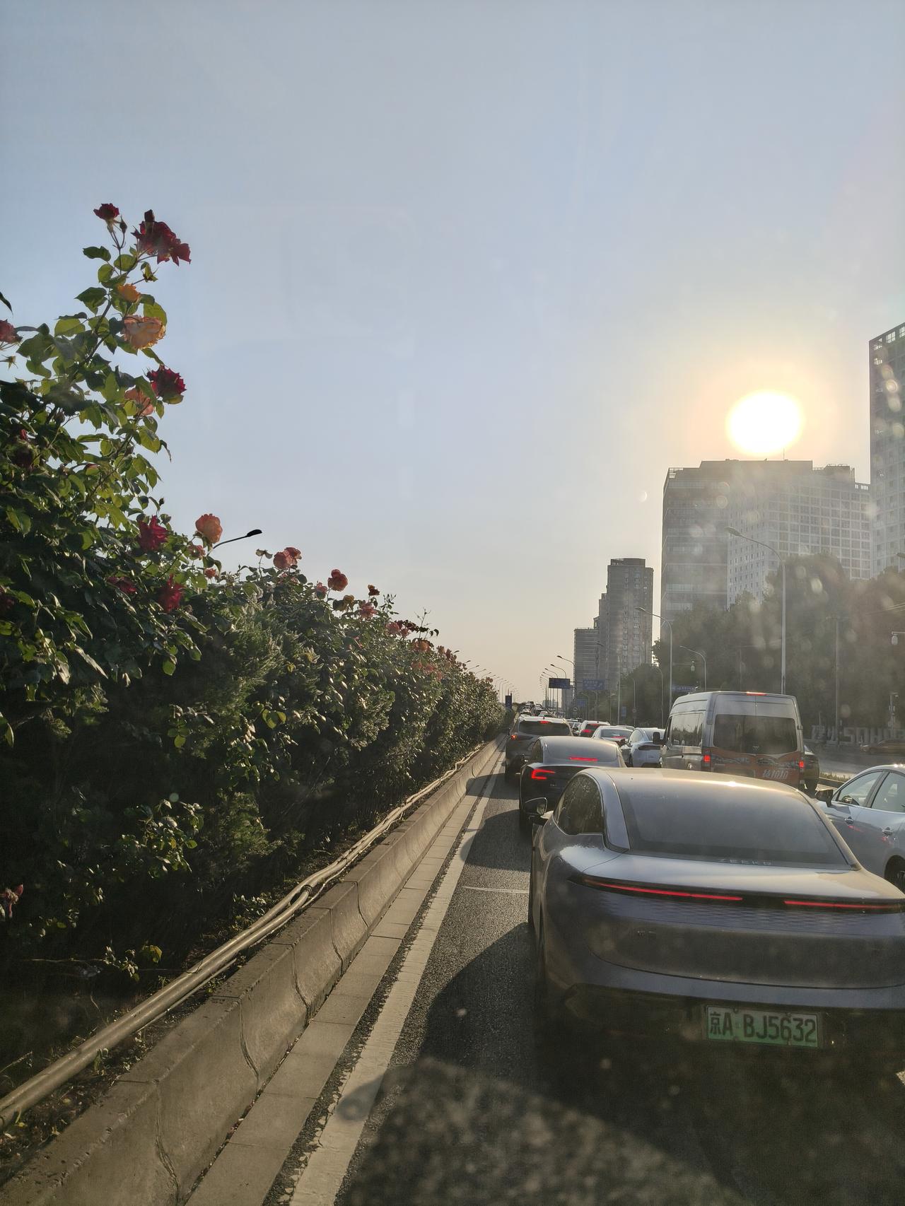 天下所有的事，除了天上掉馅饼外，都是与时间堆积，脚踏实地的干，有一定的关系。
 