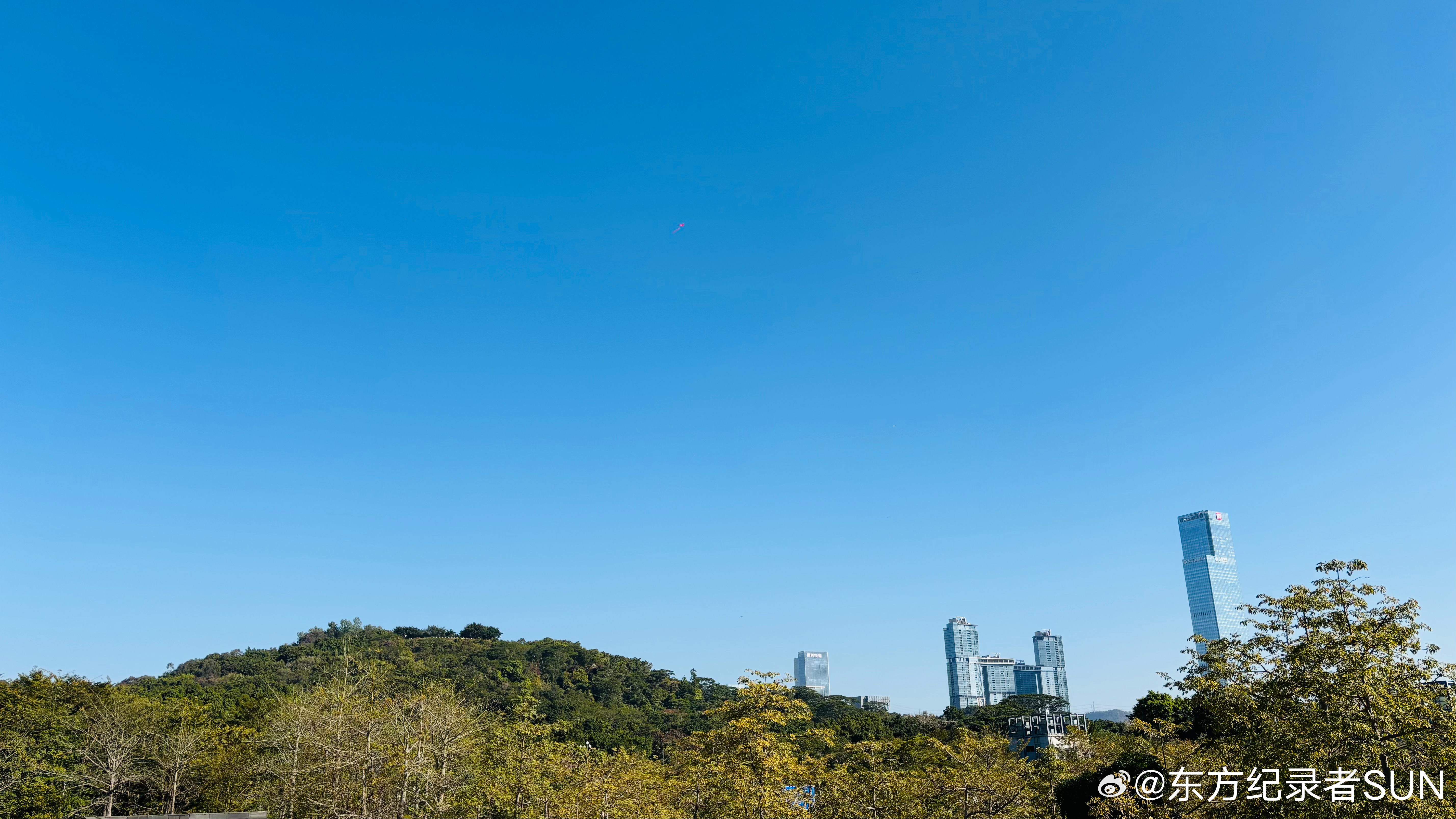 当世界前两大经济体同时向市场注入流动性时，一场全球性的“水涨船高”几乎不可避免。