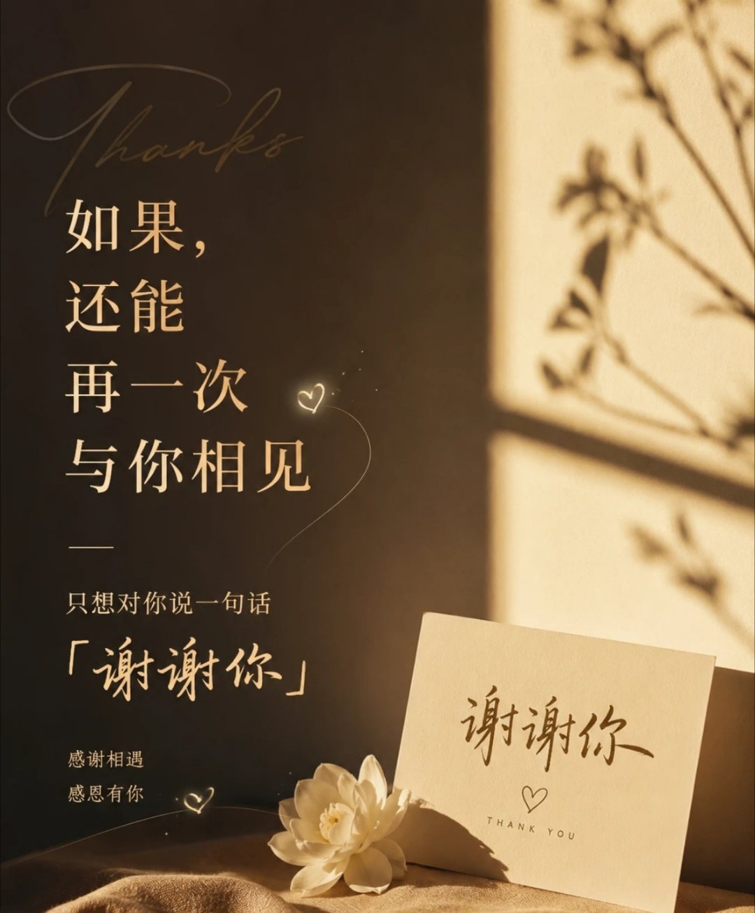 错过那就错过好了，人生本来就难免留下遗憾，要是以后还有机会再遇见，我想好好抱一抱