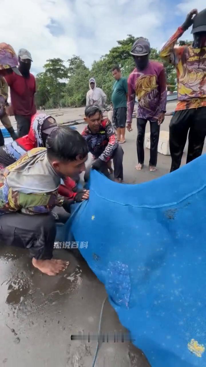 国外渔民小哥帮助大海龟。
注意看，国外渔民小哥在打鱼时意外捕获了一只600岁的大