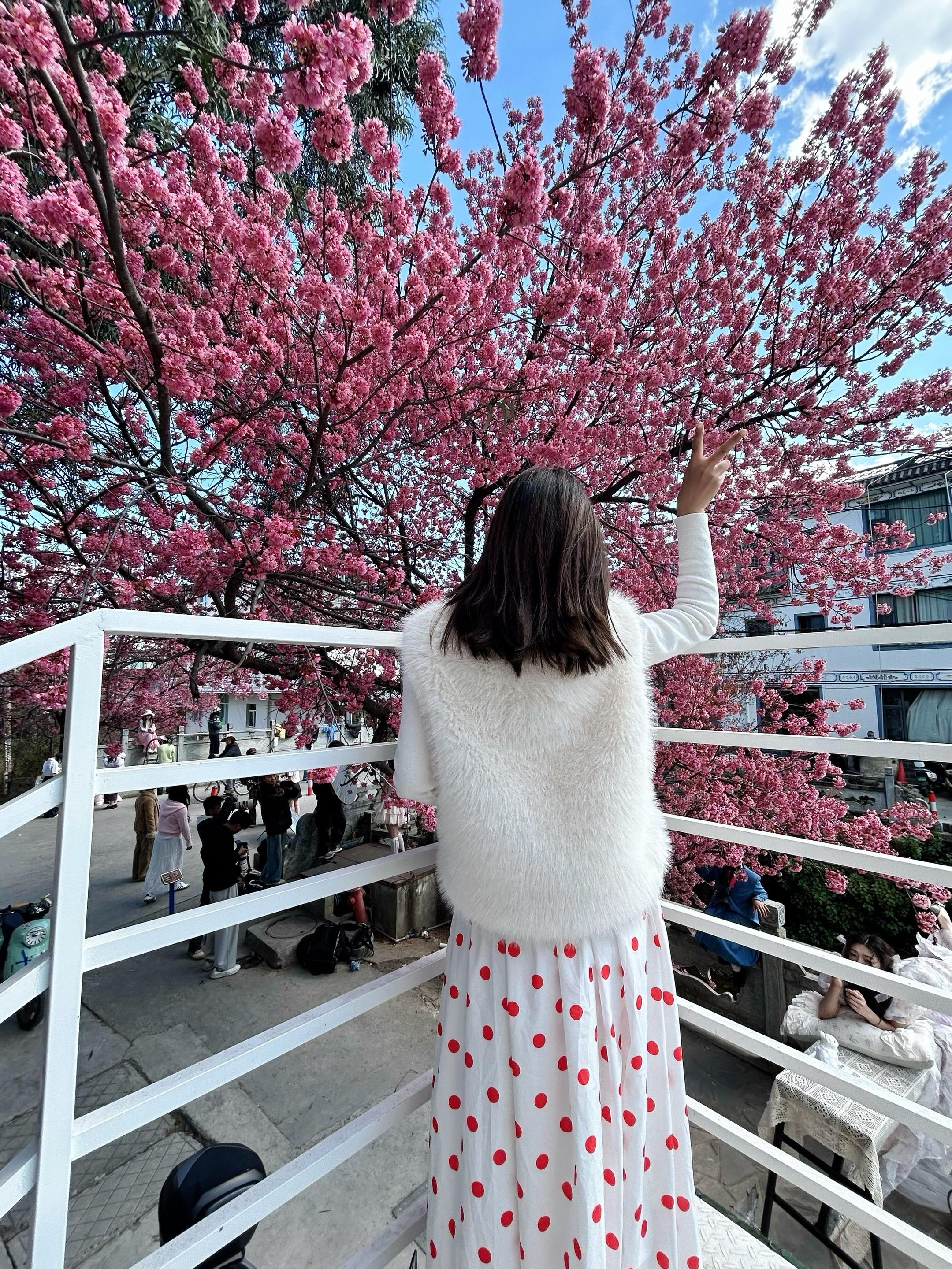 空气新酿的清新，是樱花味的🌸🌸🌸