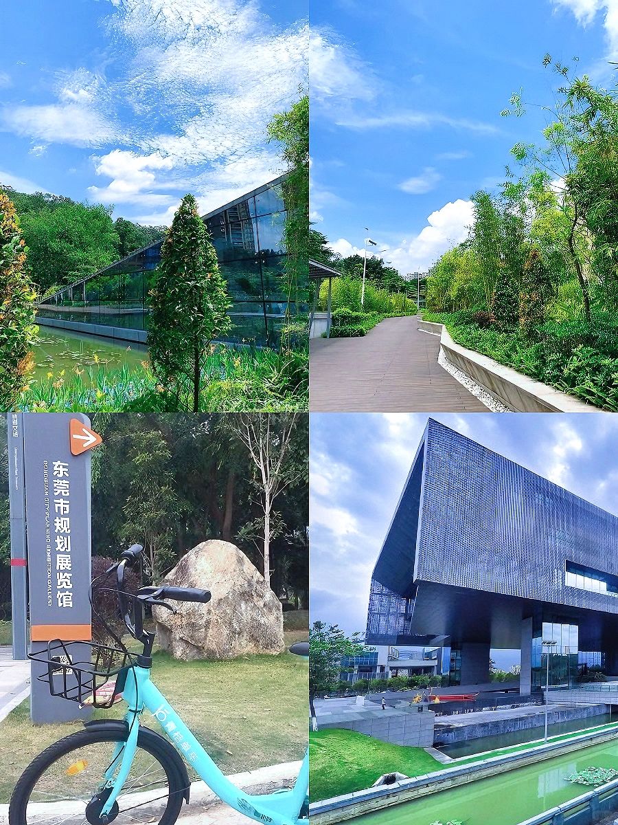 东莞周末必打卡❗️“潜”在水下的展览馆