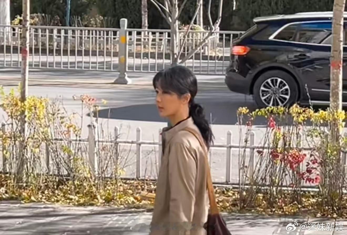 杨紫中年长发白菊路透杨紫生命树中年白菊路透杨紫中年长发白菊路透，期待，[哈哈][