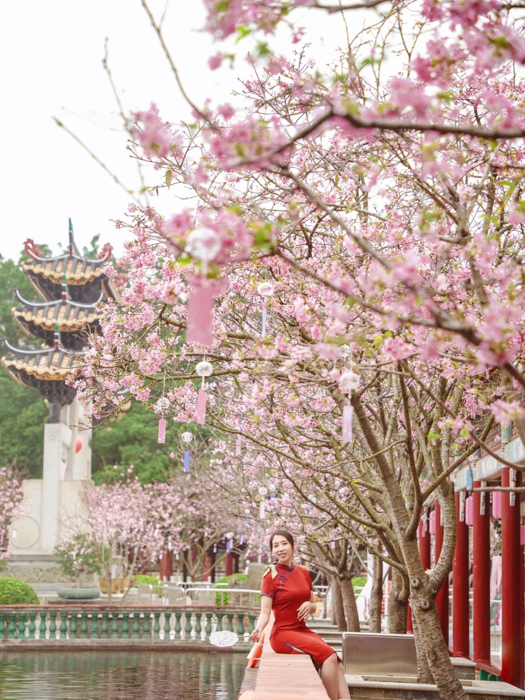 天气刚好，樱花已开，宝墨园半价你还不冲？