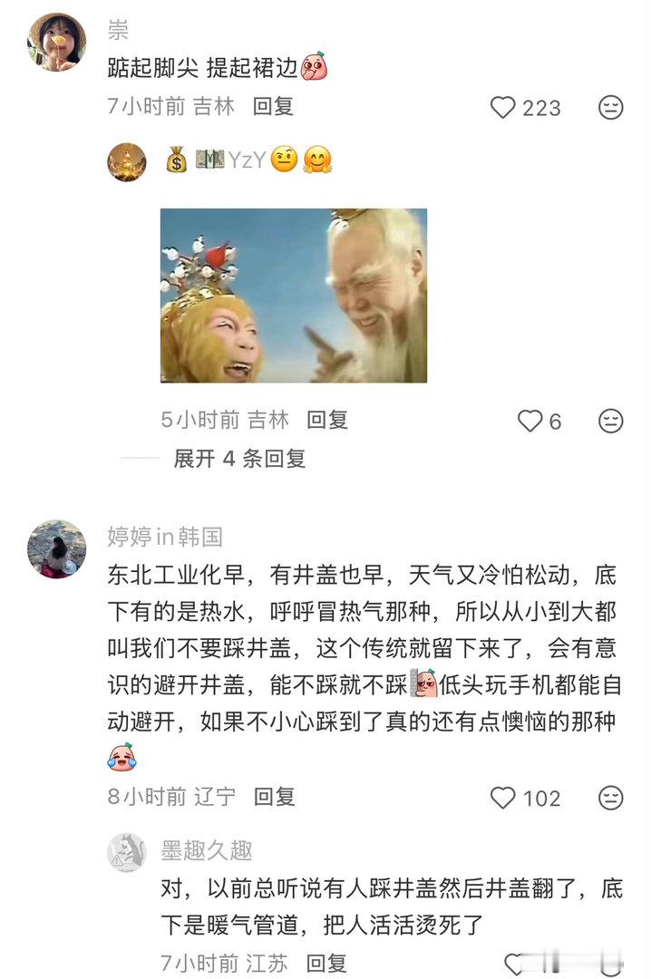 陷害东北人来的 ​​​