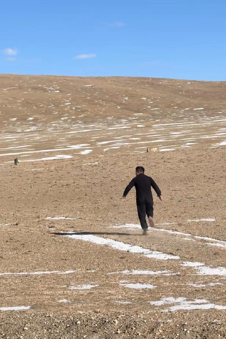 还有个大傻在海拔5200的地方，提着把大刀去追狼，再多跑俩步都高反了，狼都不用出