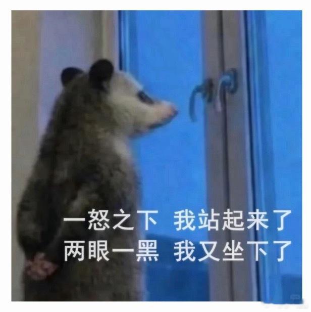 完全这样 