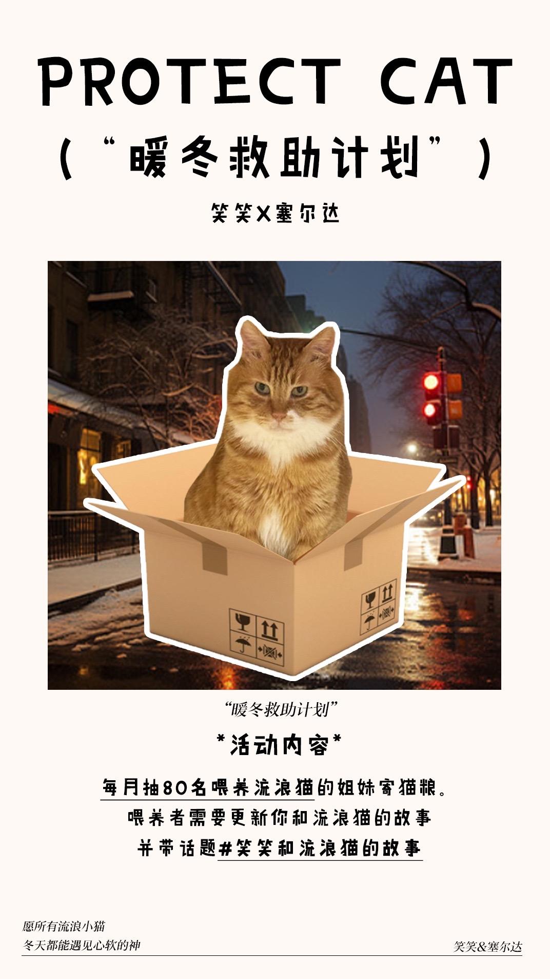 想当小猫的英雄。