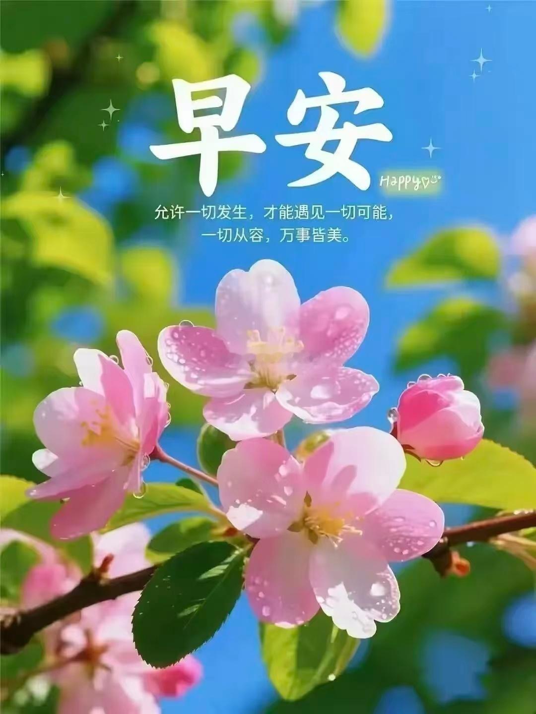 【周三，早安】生活偶尔像未整理的毛线团， 今天解不开，明天再试试，没关系，线头总