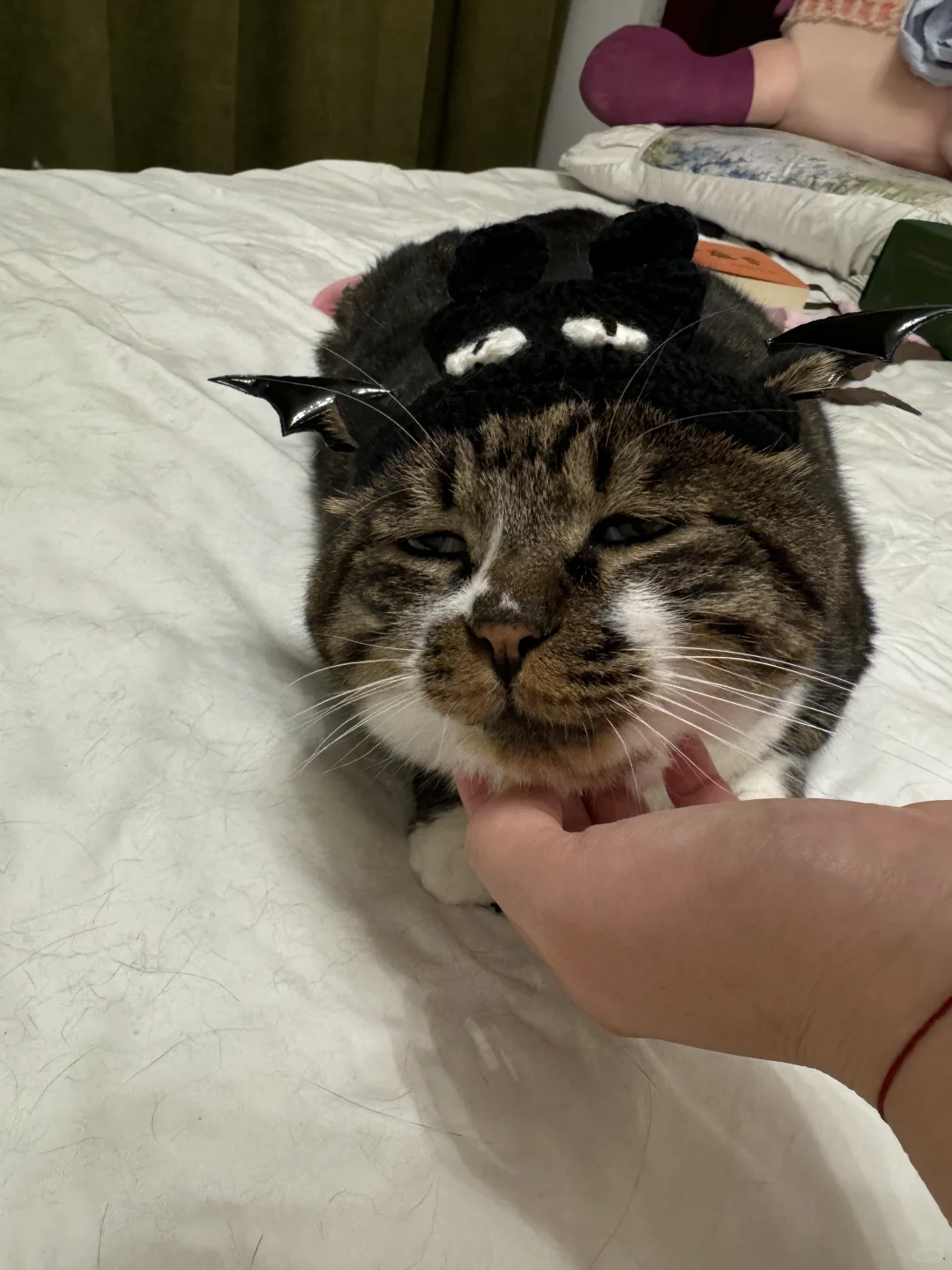 大家万圣节🎃快乐