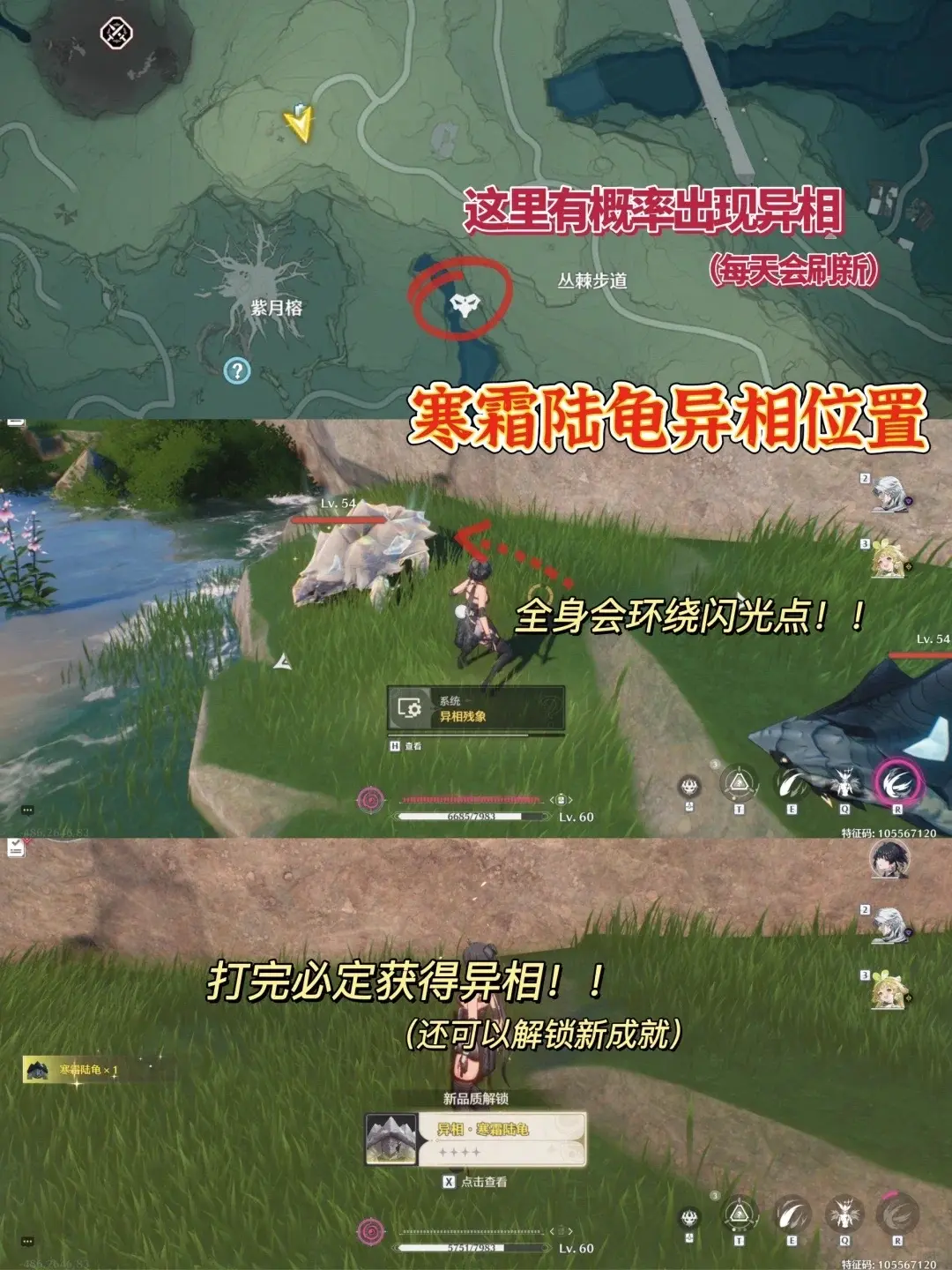 鸣潮｜1.3异相声骸获取位置！速来领新皮。  原来这些位置都会刷新闪光...
