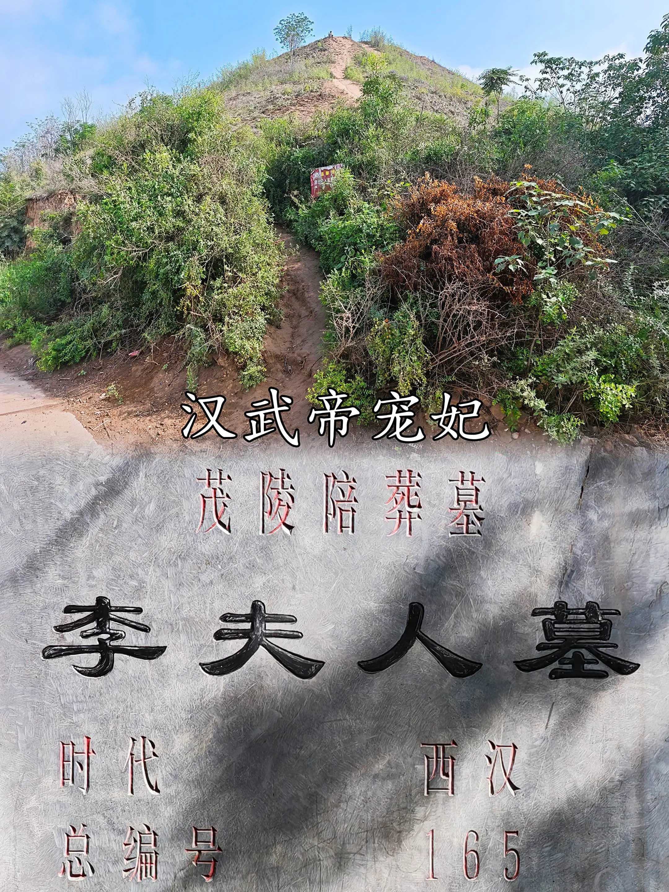 汉武帝刘彻宠妃李夫人墓。李夫人，生卒年不详，中山（今河北省定州市）人...