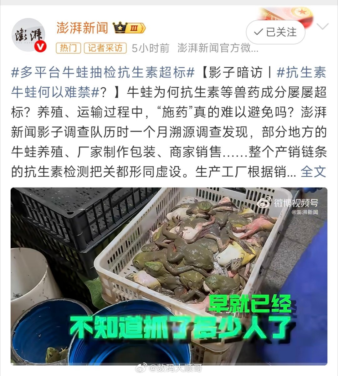 韩路谈牛蛙抗生素这玩意我知道寄生虫多没想到抗生素还超标，还是少吃为妙吧