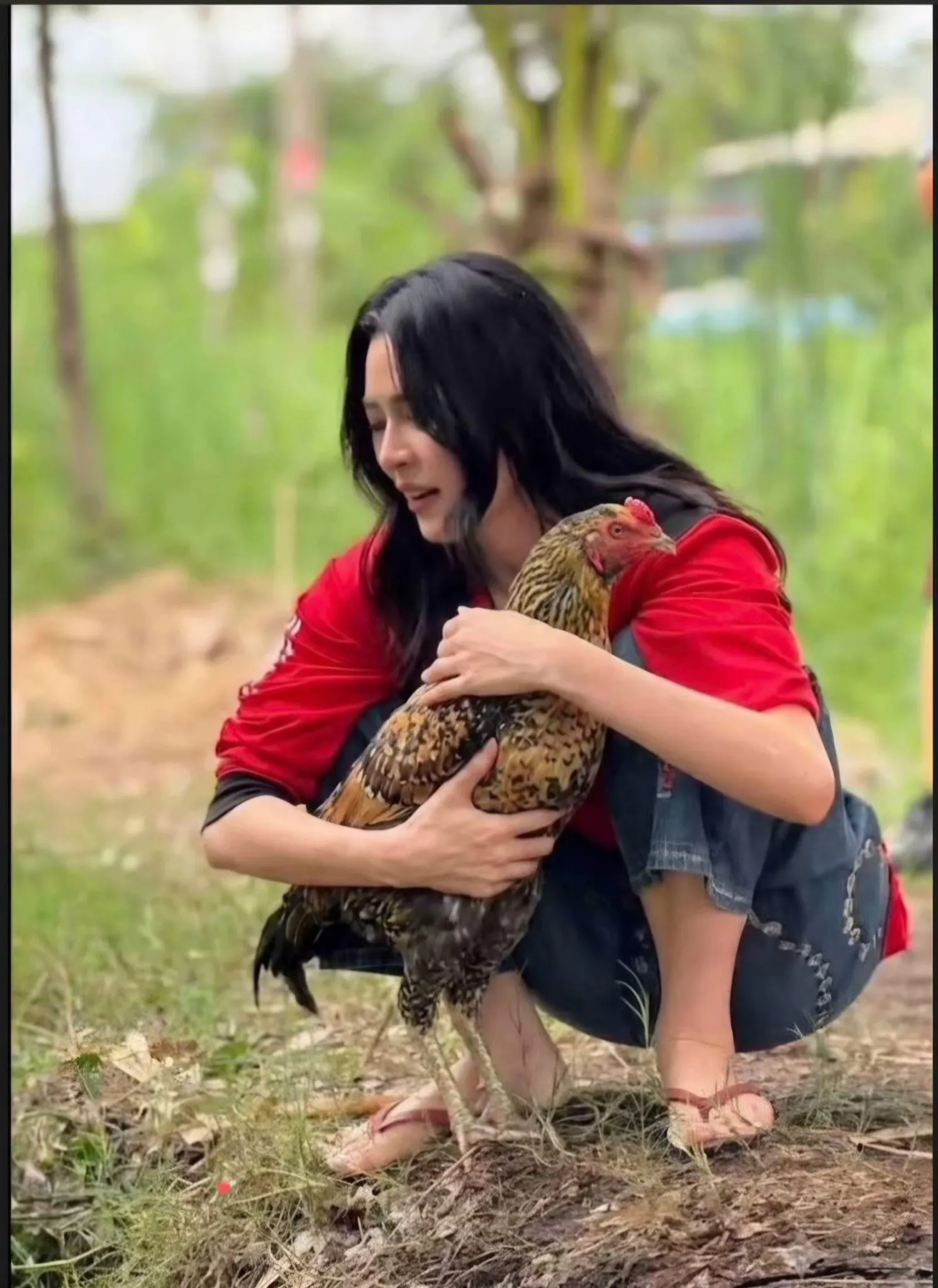 睡前看这综艺真是找罪受笑亖我了
