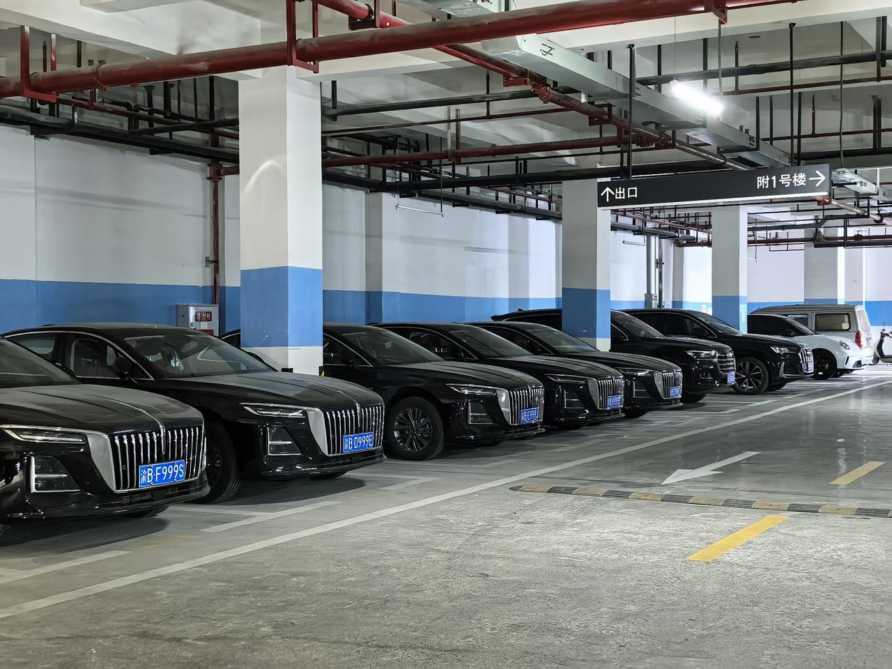 偶遇刀枪炮车队，这么厉害吗？哪儿的车【来自懂车帝车友圈】