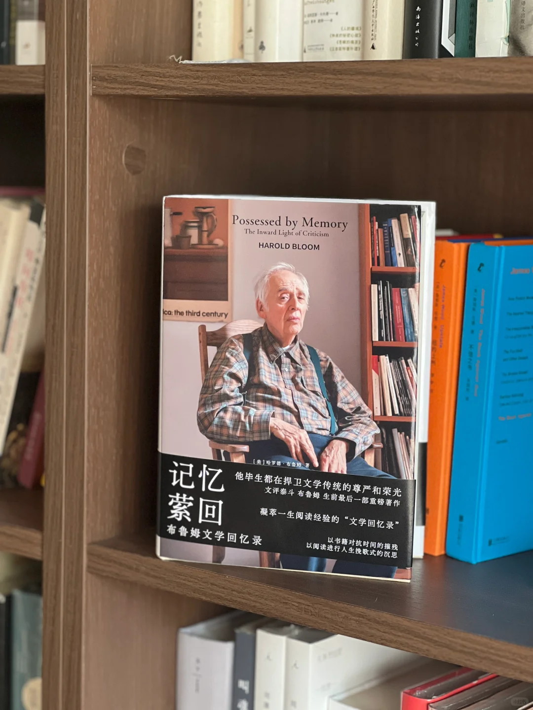 布鲁姆的絮絮叨让我感受到诗的魅力