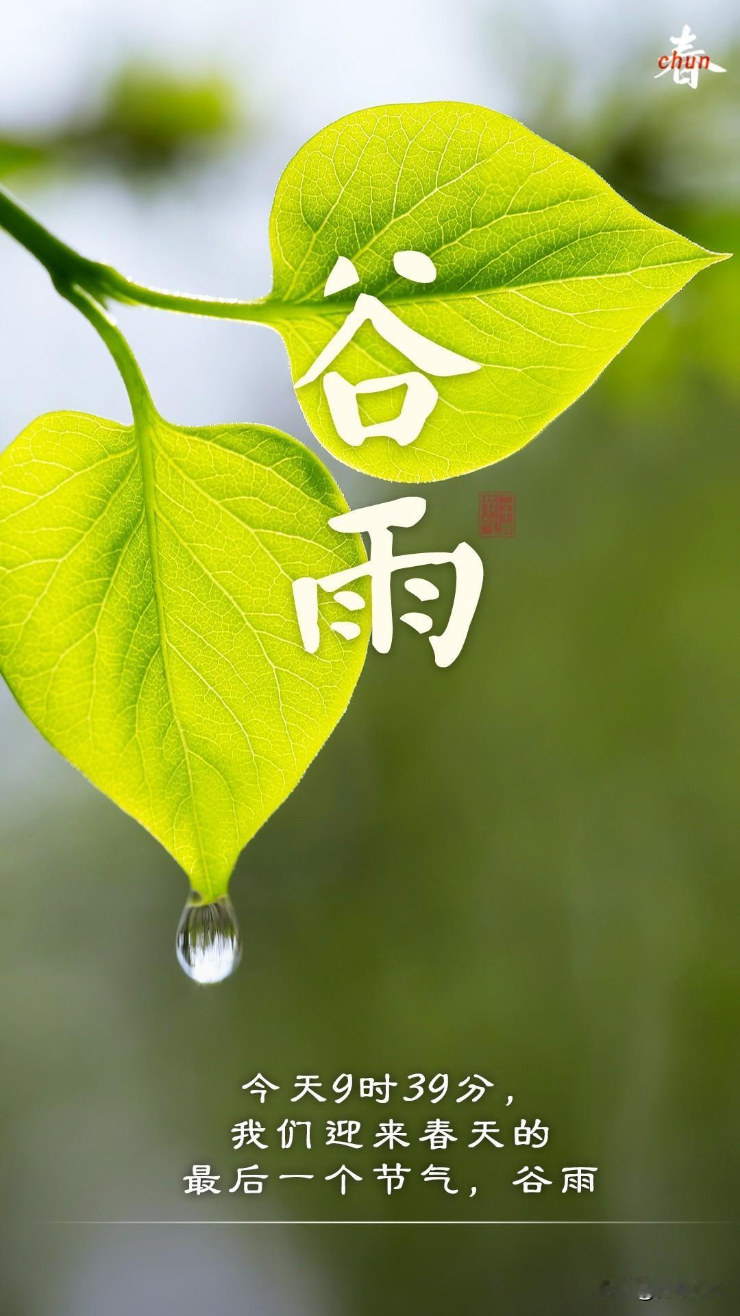 春雨落，百谷生，好运至！