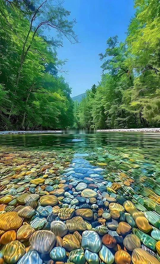 人到中年，才懂的道理。终于想通了，苦才是人生。听了这段话，我沉思了很久。简直说到