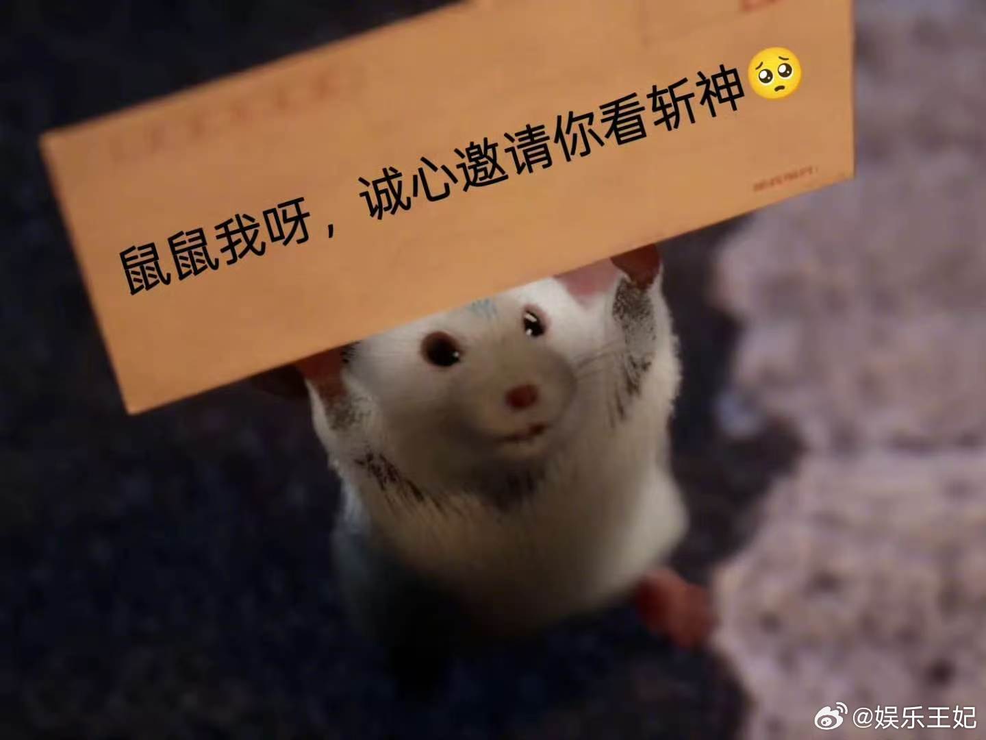 斩神2沧南神战全员开大 本季所有伏笔全部引爆在沧南神战，点映直通结局太过瘾。沈青