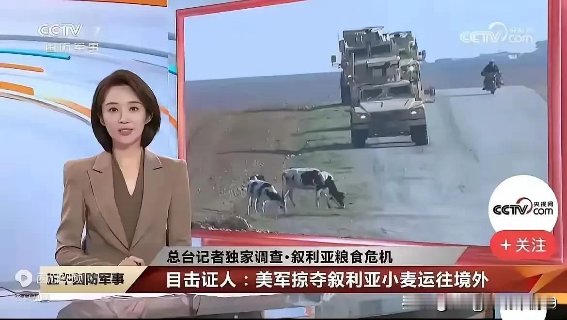 美国在叙驻军快饿死了，连叙的小麦也偷。
  从下图报道看，美军驻外部队他们靠的不