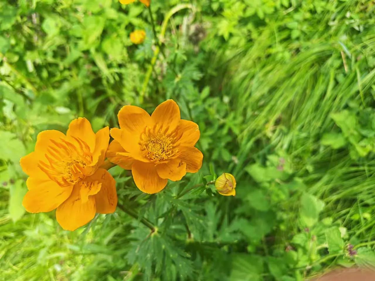 夏日生活打卡季