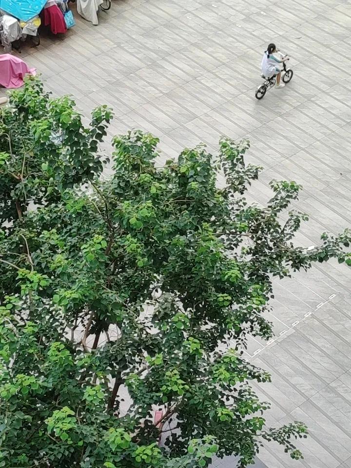 还是小孩子幸福啊，无忧无虑的骑着小单车嗯好羡慕他们这样的年龄了。