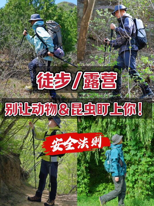户外徒步的安全法则，别让动物盯上你！