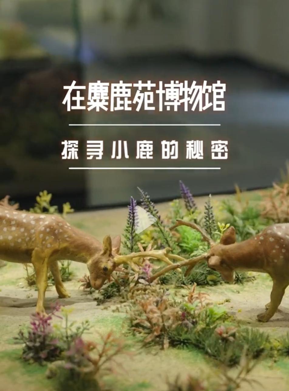  说到博物馆我们都不陌生，除了像国博、各省的省博这种综合性大博物馆，这几年北京的